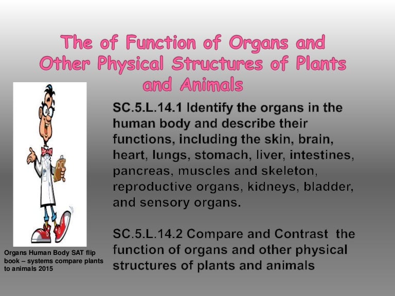 Organs human body sat flip book systems compare plants and