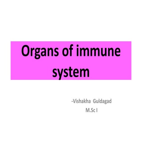 Organs of immune system