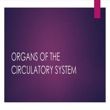 ORGANS OF THE CIRCULATORFSSY SYSTEM.pptx