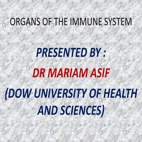 Organs of the immune system