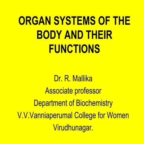 Organ systems of the body and their functions