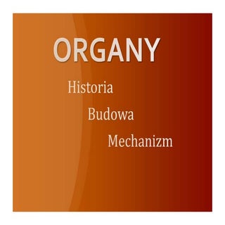 Organybis