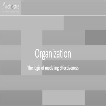 Organizational Architecture and Models