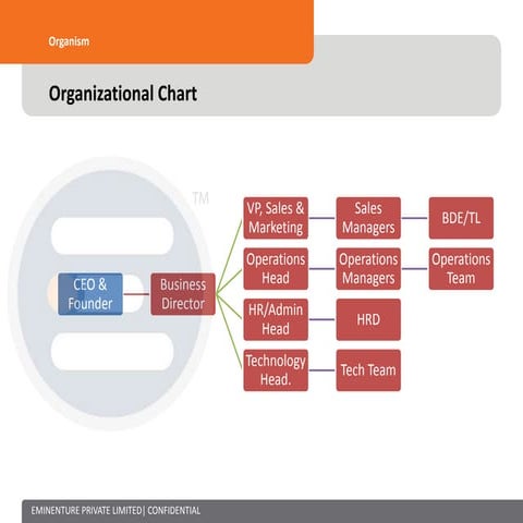 Organization Chart