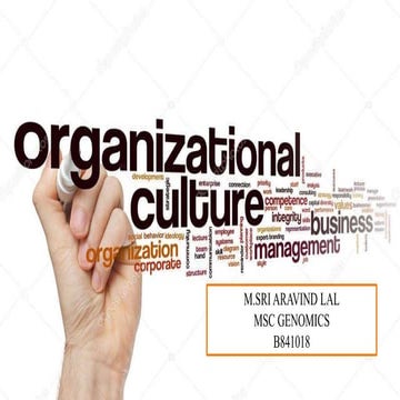 organizational culture 
