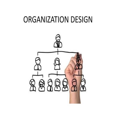 Org Design