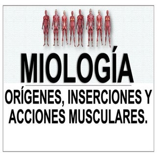 Miología, origen, inserciones y acc...