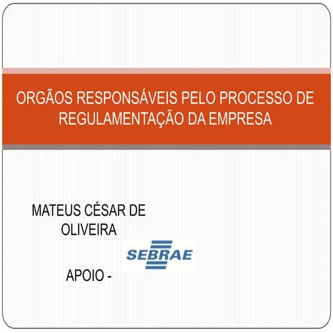 Orgãos responsáveis pelo processo de regulamentação da empresa