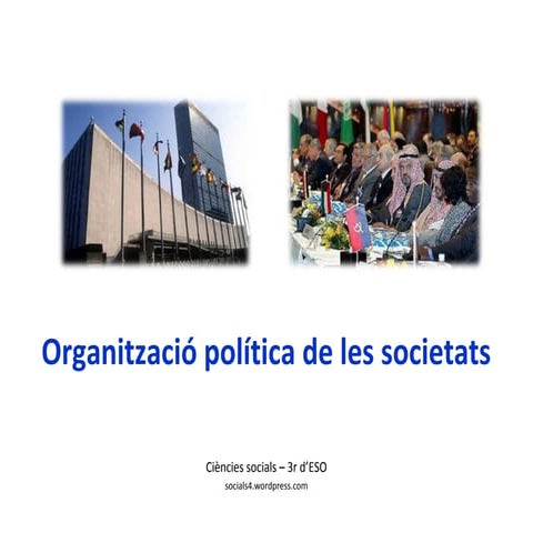 Organització política de les societats