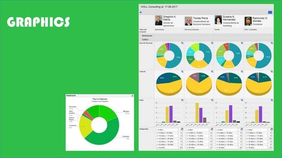 Orgpublisher HOLL Consulting brochure -es-1 | PPT