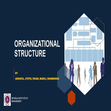ORG STRUCTURE presentation ppt --TEAM 1.pptx