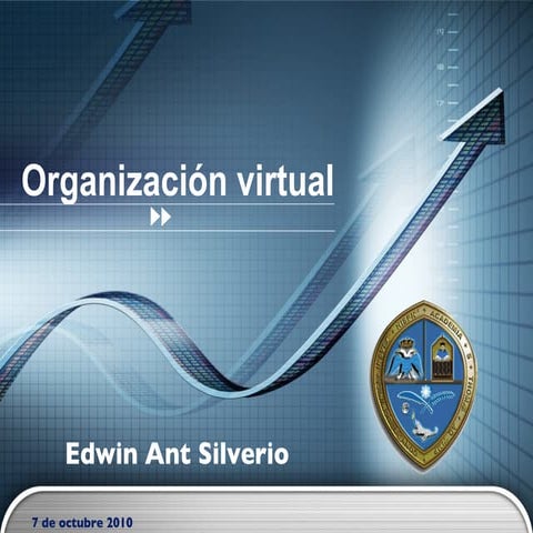 Organización Virtual