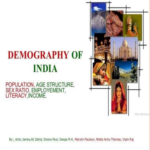 Population Studies / Demography Introduction | PDF