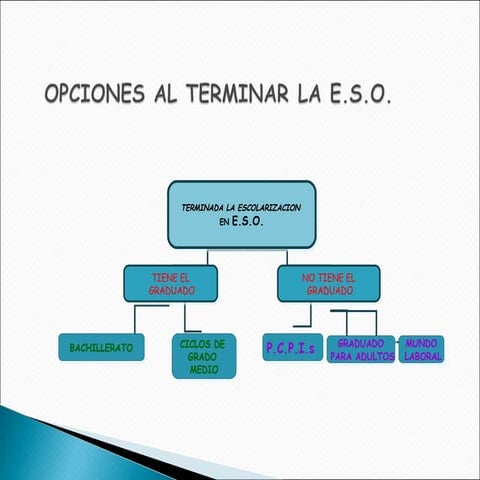 Lo que necesito saber en 4ºeso