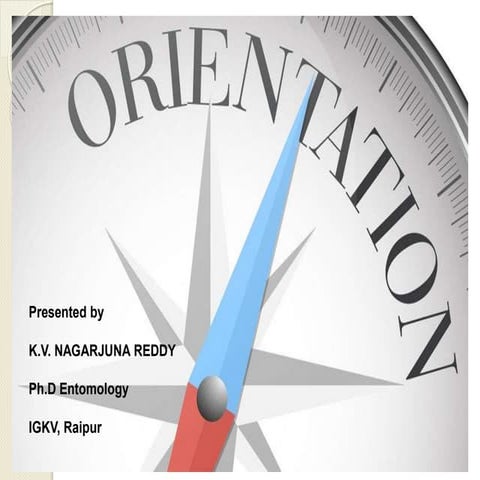 Insect orientation and behaviour