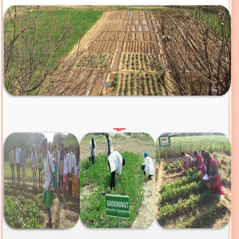 Orientation 2017-18.pptx AGRICULTURE DEPARTMENT