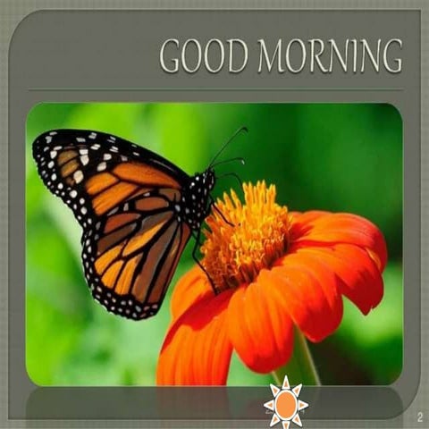 Orientation jaw relation