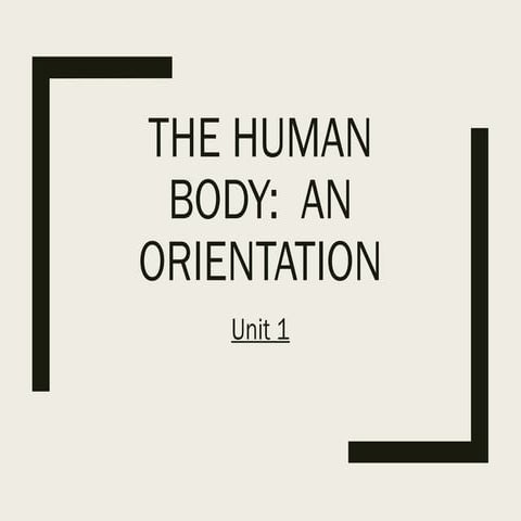 Orientation of the Human Body - 2017