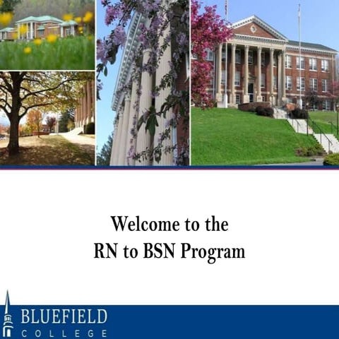 RN to BSN Orientation May 2014