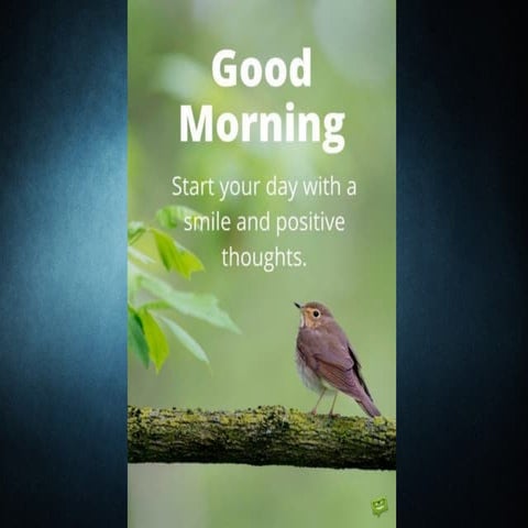 Orientation to Discipline Rules Regulations Final_2022_23.ppt