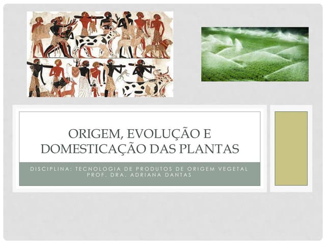 Origem, evolução e domesticação das plantas | PPTX