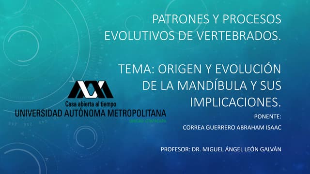 Origen y evolución de la mandíbula ...