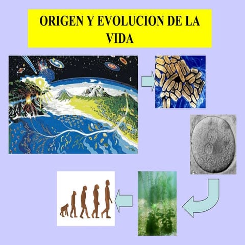 Origen de la vida 2010