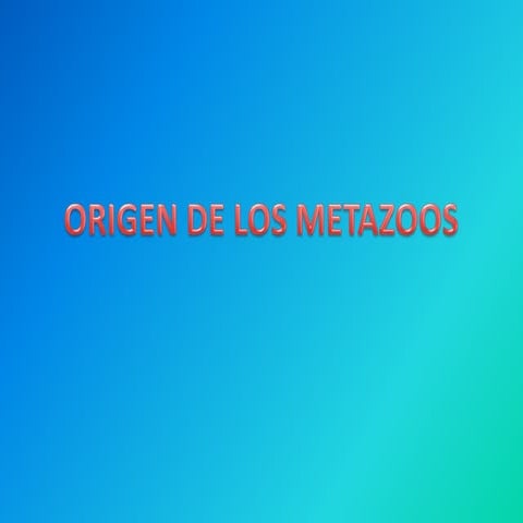 Origen de los metazoos