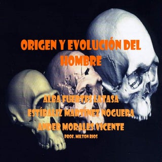 Origen del hombre