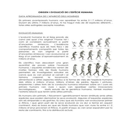 Origen i evolucio de l'home