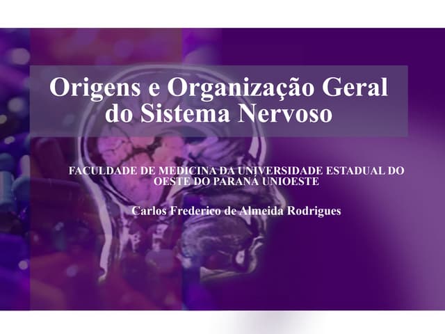 Origens e organização geral do sist...