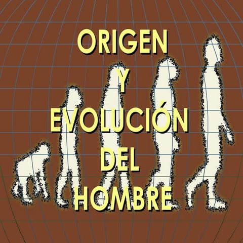 Origen y evolución del hombre