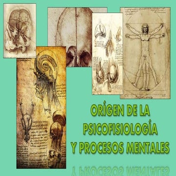 Origen y procesos de psicofisiología
