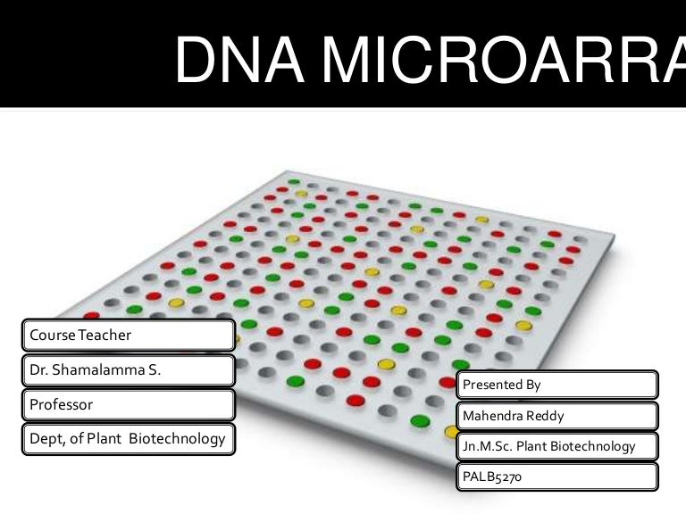 DNA microarray
