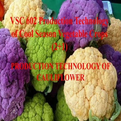 cauliflower - Cultivation- production technology varieties pest and disease 