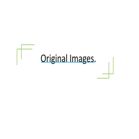 Original images