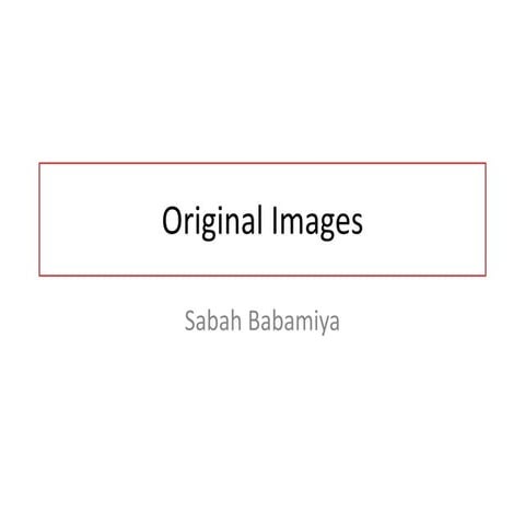 Original images task 11