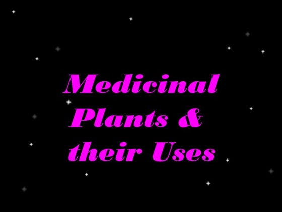 medicinal plants & their uses