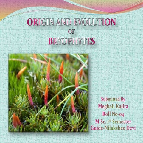 Origin and evolution of bryophytes