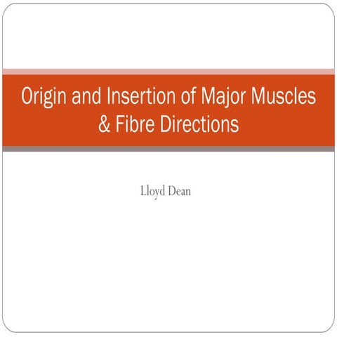 Origin and insertion of major muscles & fibre