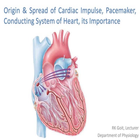 Origin and spread of cardiac impulse, pacemaker, conducting system of heart, ...