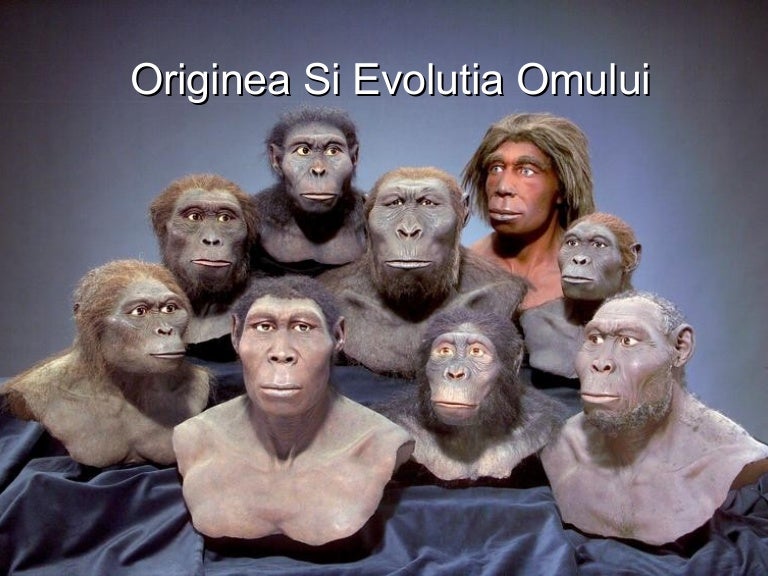 Originea si evolutia omului varianta finala