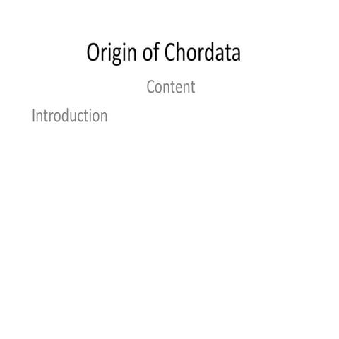 Origin of Chordata.pptx