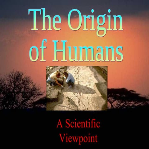 Origin Of Humans