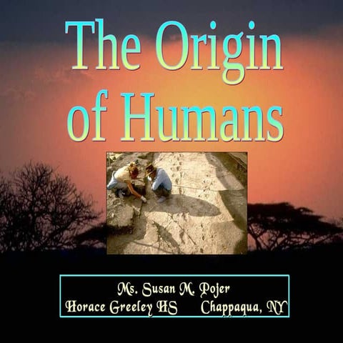 Origin of humans