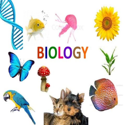 Origin of life-where did life come from