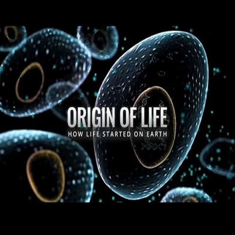 Origin of Life 
