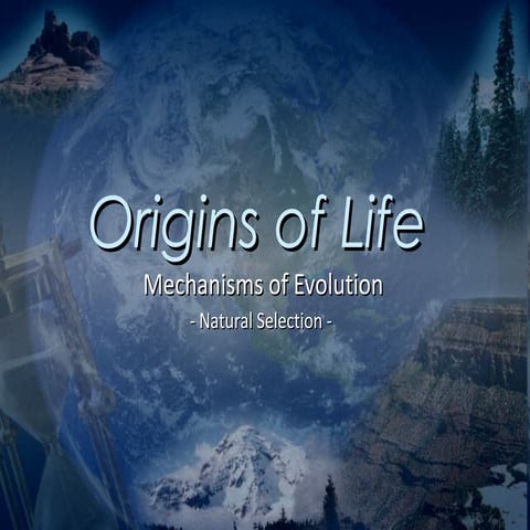 Origins of Life 2 - Mechanisms