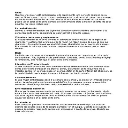 PRACTICA Analisis clinicos: Examen de orina