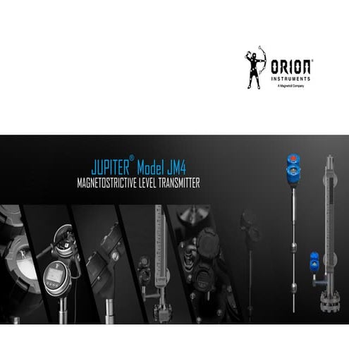 Orion Jupiter JM4 Magnetostrictive Level Transmitter